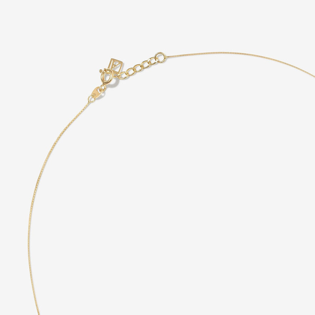 Joe snake chain necklace