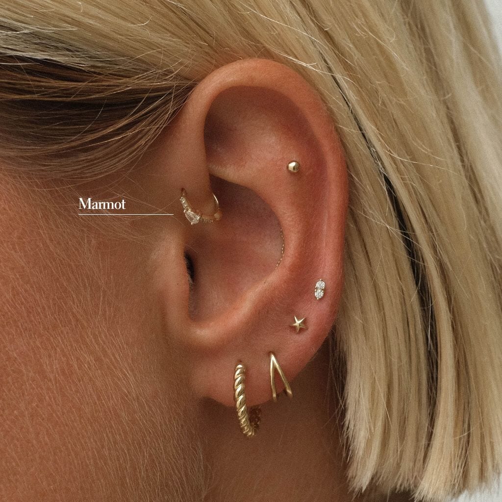 Marmot huggie piercing